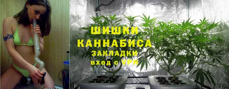 цена наркотик  даркнет формула  Марихуана Ganja  Нововоронеж 